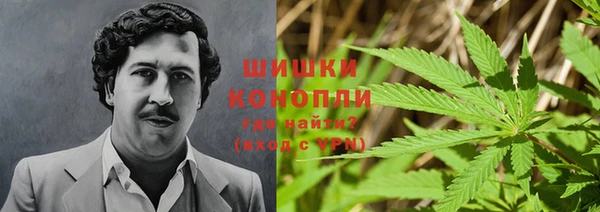 соль ск Гусиноозёрск