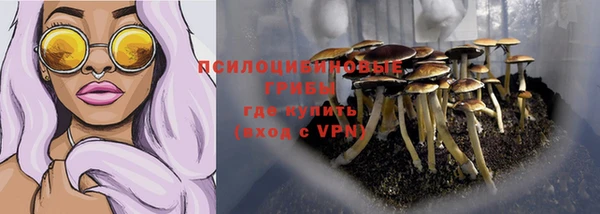 соль ск Гусиноозёрск