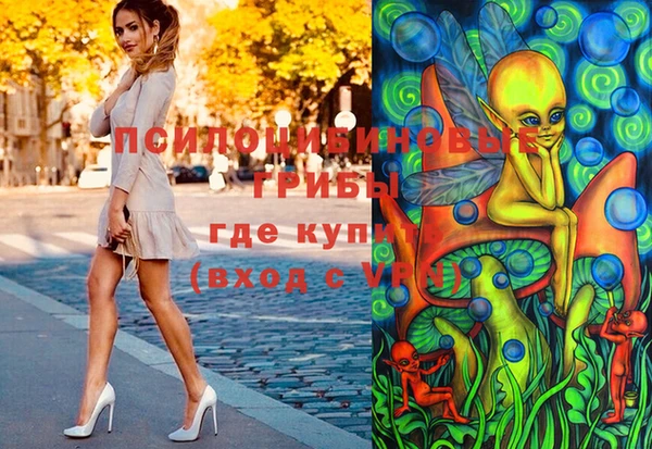 прущая мука Гусев