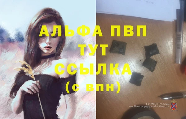 соль ск Гусиноозёрск